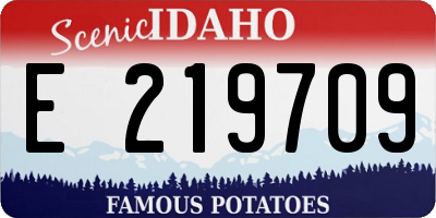ID license plate E219709