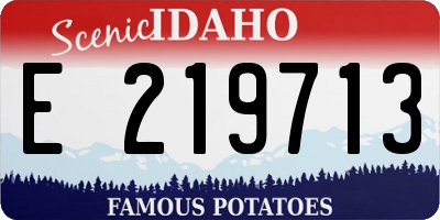 ID license plate E219713