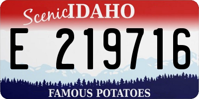 ID license plate E219716