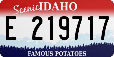 ID license plate E219717