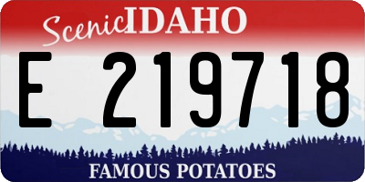 ID license plate E219718