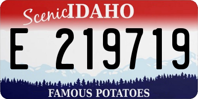 ID license plate E219719