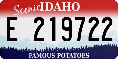 ID license plate E219722