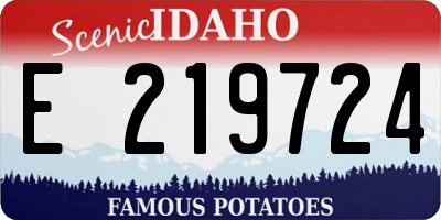 ID license plate E219724