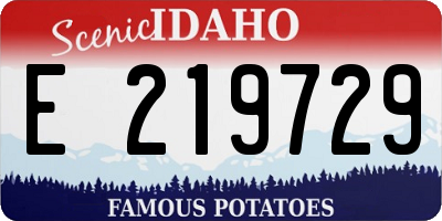 ID license plate E219729