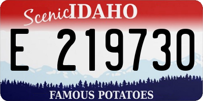 ID license plate E219730