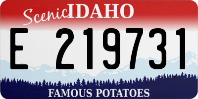 ID license plate E219731