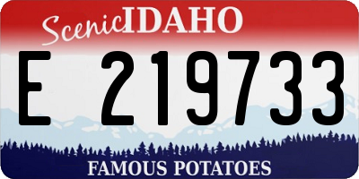 ID license plate E219733