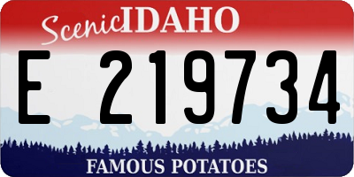 ID license plate E219734