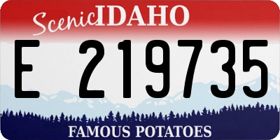 ID license plate E219735