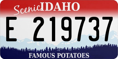 ID license plate E219737