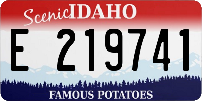 ID license plate E219741