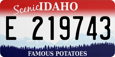 ID license plate E219743
