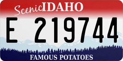ID license plate E219744