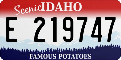 ID license plate E219747