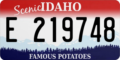 ID license plate E219748