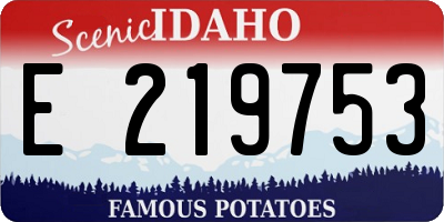 ID license plate E219753