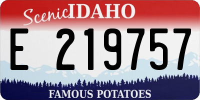 ID license plate E219757