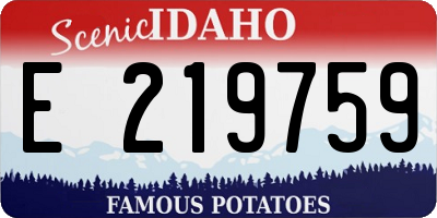 ID license plate E219759