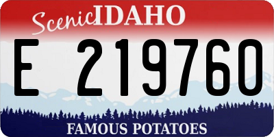 ID license plate E219760