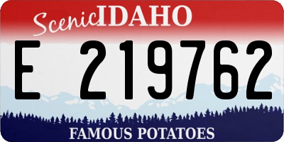 ID license plate E219762