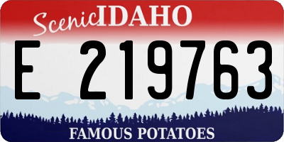 ID license plate E219763