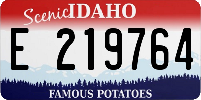 ID license plate E219764