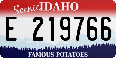 ID license plate E219766