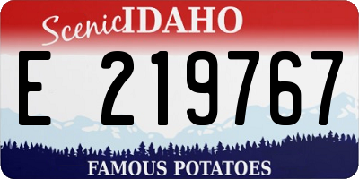 ID license plate E219767