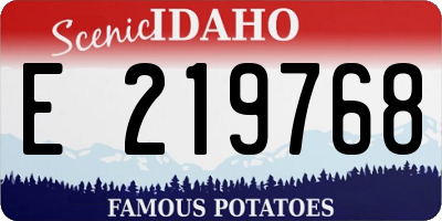 ID license plate E219768
