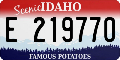 ID license plate E219770