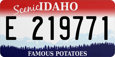 ID license plate E219771