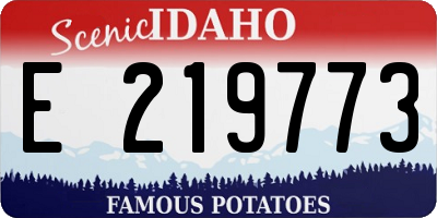 ID license plate E219773