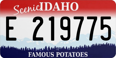 ID license plate E219775