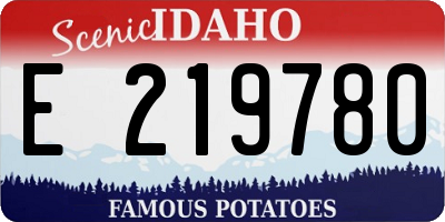 ID license plate E219780