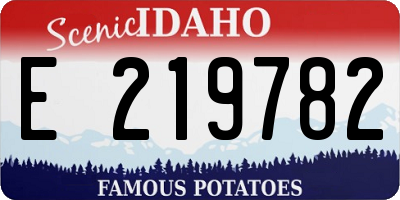 ID license plate E219782
