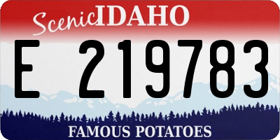 ID license plate E219783