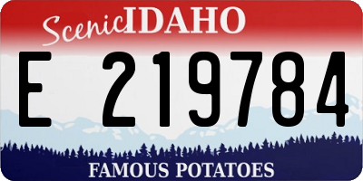 ID license plate E219784