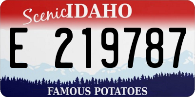 ID license plate E219787