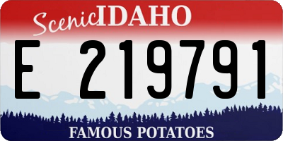 ID license plate E219791