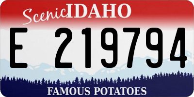ID license plate E219794