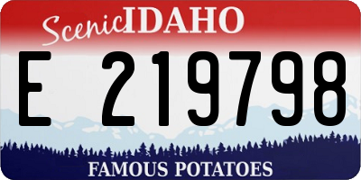 ID license plate E219798