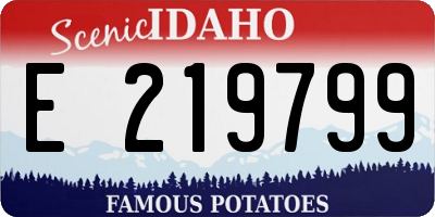 ID license plate E219799