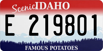 ID license plate E219801
