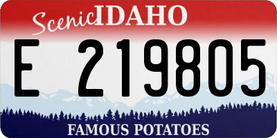 ID license plate E219805