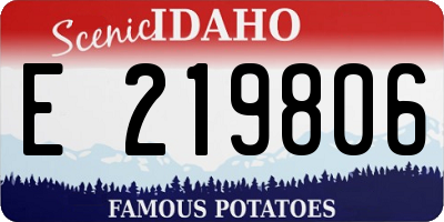 ID license plate E219806