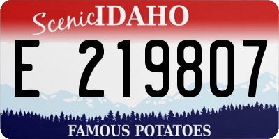 ID license plate E219807
