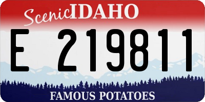 ID license plate E219811