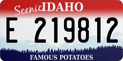 ID license plate E219812