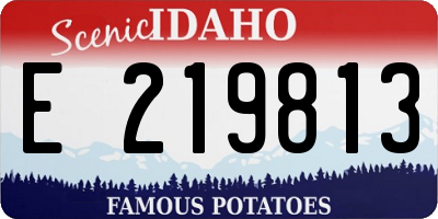 ID license plate E219813